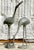 Gray Vintage Coastal Cast Metal Cranes - Set of 2 For Sale - Image 8 of 14