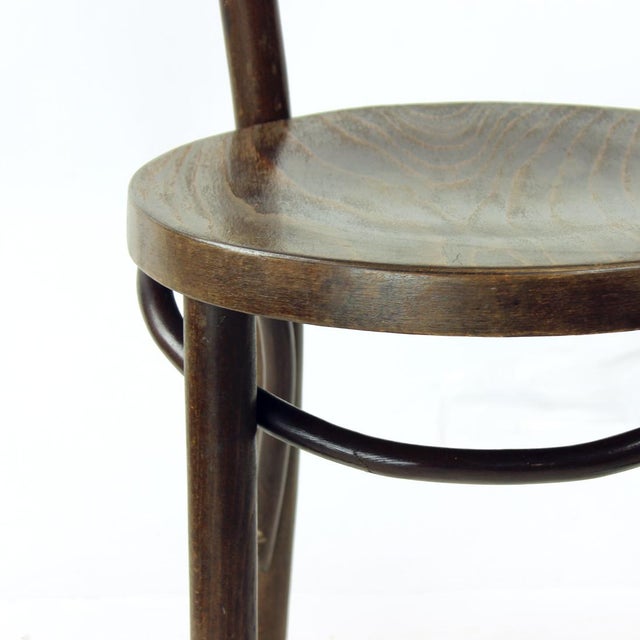 Bentwood Bistro Chair from Tatra, Czechoslovakia, 1940s For Sale - Image 9 of 12