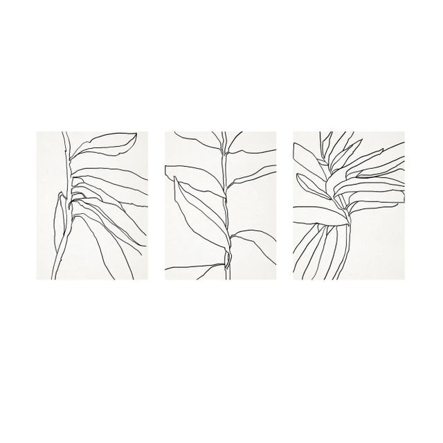 Contemporary Botanical Giclee Prints, Framed - Set of 3 For Sale - Image 4 of 5