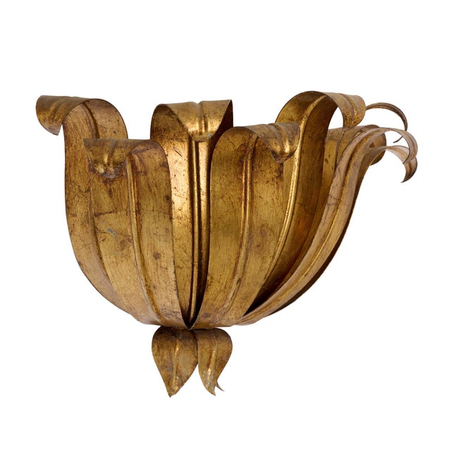 1920s Italian Mid-Century Gilt Metal Floral Wall Sconce For Sale - Image 5 of 9