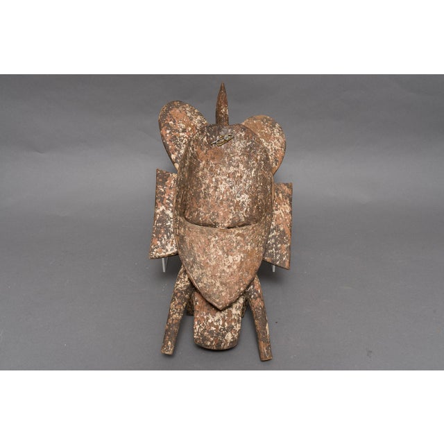 Early 20th Century Antique African Tribal Carved Wood Senufo Kpelie Mask For Sale - Image 5 of 7