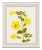 Hubbard Flower, Small: 2912 Artwork, Framed Artwork For Sale