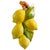 Yellow Vintage-Style Italian Majolica Lemon Wall Plaques by Bassano Del Grappa Ceramiche - Pair For Sale - Image 8 of 13