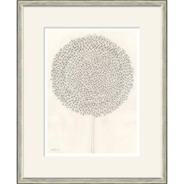 Dandelion Framed Art Print by Susan Hable For Sale