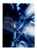 Paul Cooklin, Abstraction 290, Edition of 50 For Sale