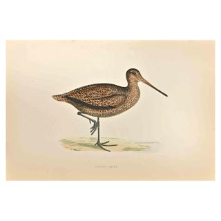 Alexander Francis Lydon, Sabine's Snipe, Woodcut Print, 1870 For Sale