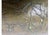 1920s Arts and Crafts Brass Repoussé Wastebasket For Sale - Image 9 of 9