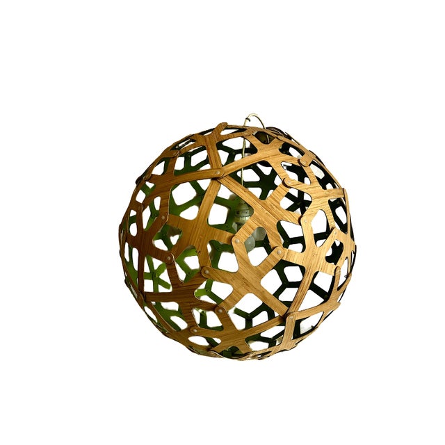 The Eco-Friendly Coral Pendant Light, by David Trubridge For Sale - Image 9 of 9