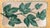 Italian Majolica Decorative Basketweave Platter With Ivy Leaves For Sale - Image 4 of 11