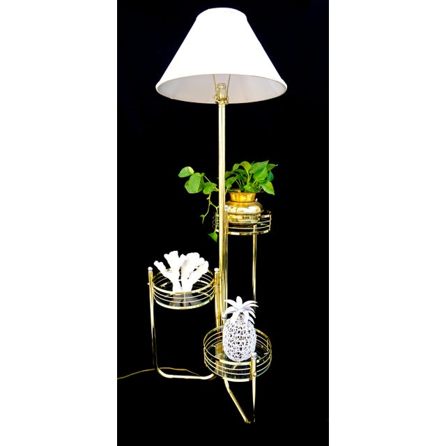 MidCentury Modern Brass & Glass Three Tier Plant Stand + Floor Lamp