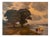 Pastoral Landscape with Cows by the Water, 20th Century, Oil on Canvas For Sale