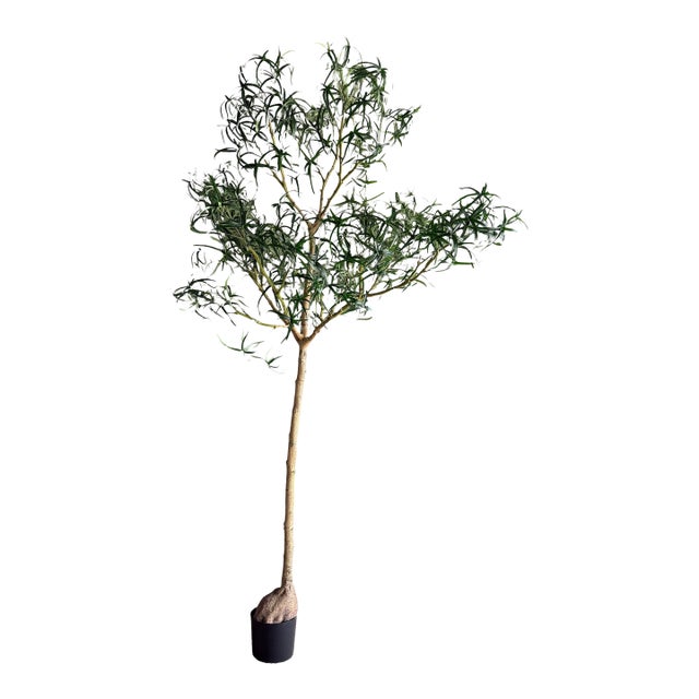 Realistic Bottle Tree 8′ For Sale