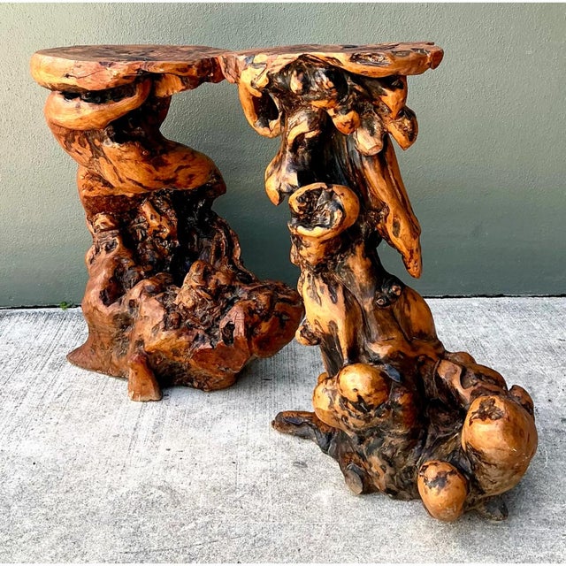 Early 20th Century Vintage Japanese Twisted Root Pedestals - Set of Two For Sale - Image 5 of 12