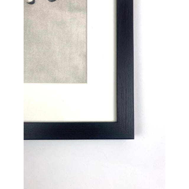 1940s Framed Botanical Blossfeldt Print - No. 80 For Sale - Image 4 of 5