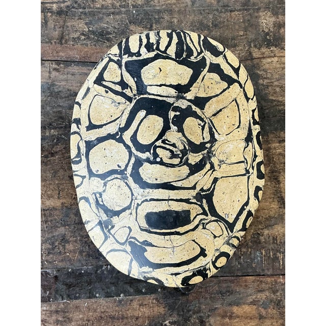 Late 20th Century Vintage Italian Scagliola Pigmented Plaster Turtle Shell For Sale - Image 5 of 12