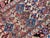 Antique Kurdish Rug, 1890s For Sale - Image 11 of 18