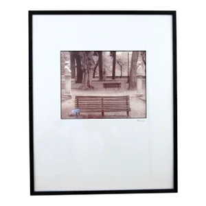 Kenario Photography Framed Fine Art Photo of Park