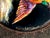Miniature Enamel Medallion Paintings of a Bird and a Fish by Lossier,Switzerland, 1950s, Set of 2 For Sale - Image 3 of 9