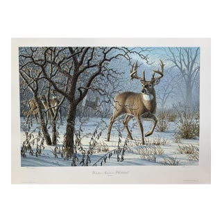 1990s Larry Zach "Winter Sunrise ~ Whitetail" Signed, Numbered, Le Wildlife Print For Sale