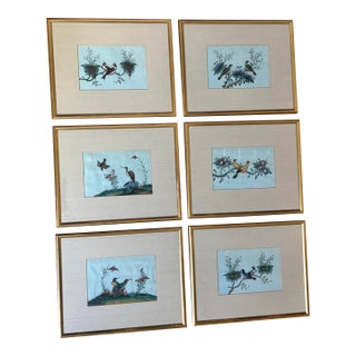 Antique Chinese Export Gouache Bird Paintings on Pith, Set of 6 For Sale