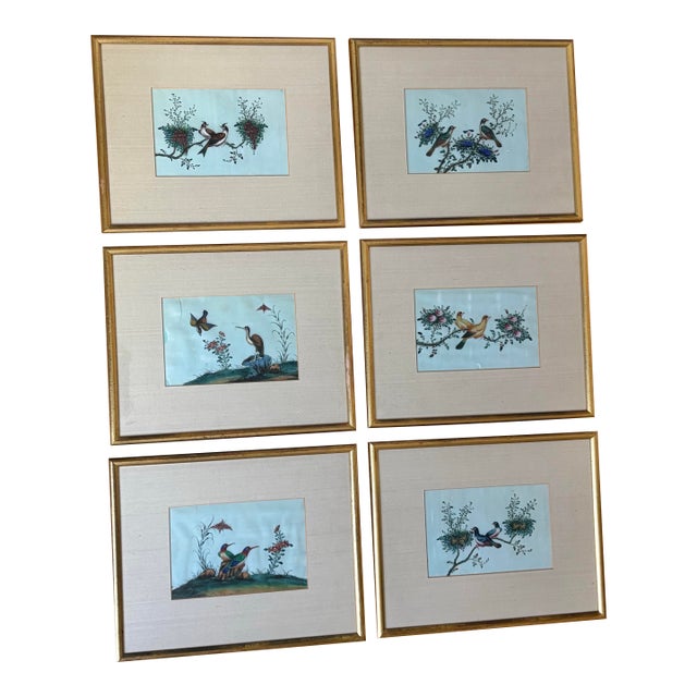 Antique Chinese Export Gouache Bird Paintings on Pith, Set of 6 For Sale