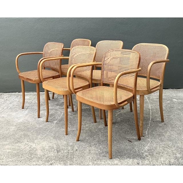 Vintage Stendig Bent Wood Cane Dining Chairs - Set of 6 For Sale - Image 12 of 16