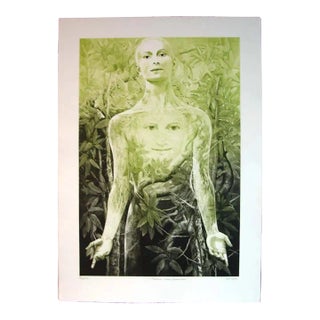 G H Rothe Daphne's Transformation Hand Signed Limited Edition For Sale