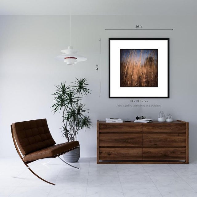 Contemporary Paul Cooklin, Wild Grass, Suffolk, Edition of 50 For Sale - Image 3 of 6