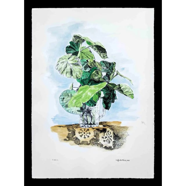 Sigfrido Oliva, Untitled, Lithograph, 1980 For Sale