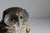 Ceramic owl sculpture by Elisabeth Vandeweghe 1970s, Belgium. Part of the animal series ca.1975. Documentation: Art...