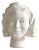 French Plaster Head Sculpture For Sale