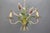 Hollywood Regency Pastel Color Callas Lily Flower Bouquet Metal Chandelier, 1970s For Sale - Image 4 of 18