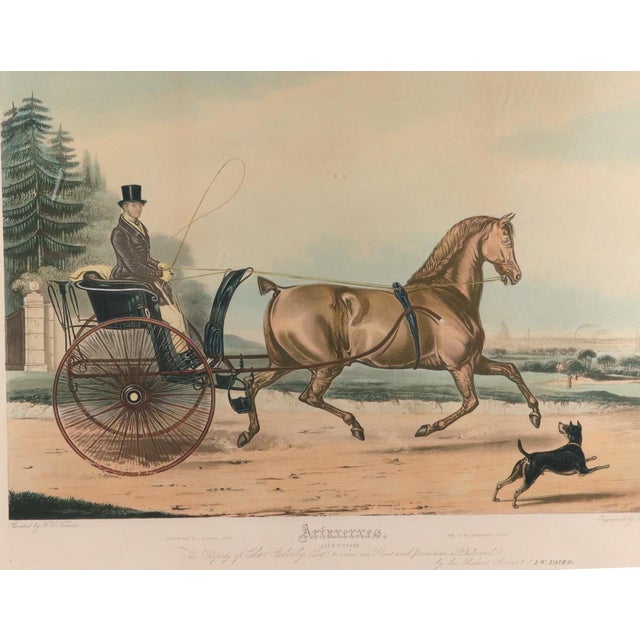 Large Aquatint of the Celebrated Trotting Stallion Artaxerxes After Francis Calcraft Turner For Sale - Image 4 of 9