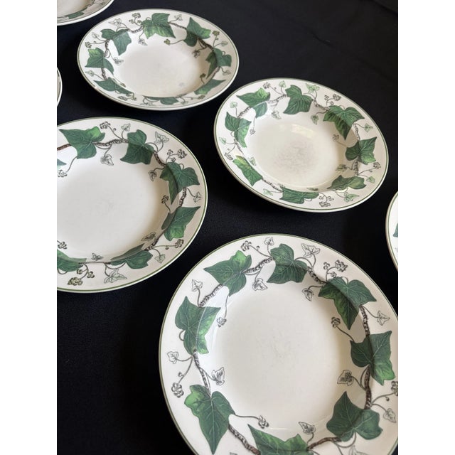 A set of 7 Napoleon Ivy Soup Bowls by Wedgwood Beautiful green ivy pattern Rimmed and round Napoleon ivy is the pattern...