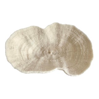 Natural White Bowl Coral Specimen Coastal Home For Sale