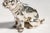 Vintage English Sterling Silver French Bulldog Miniature Sculpture Hallmarked Dog Figurine For Sale - Image 9 of 14