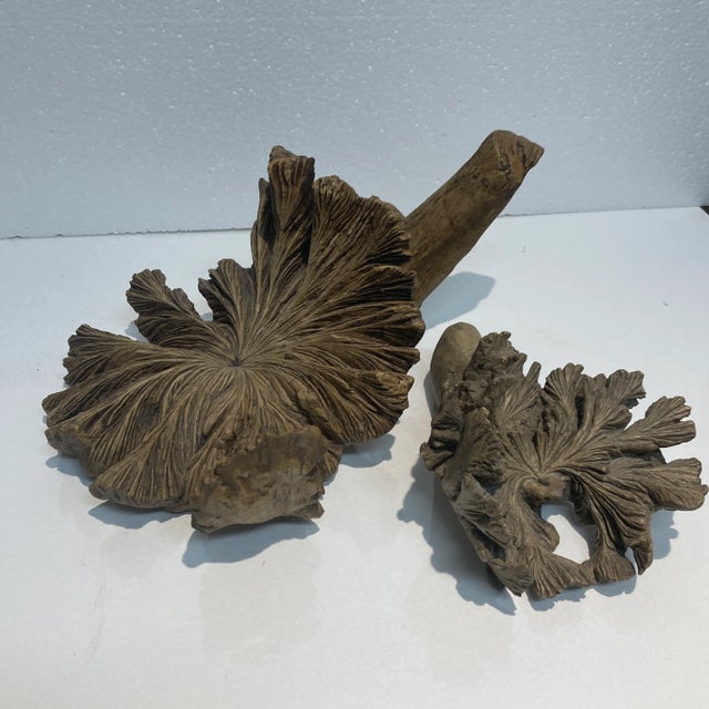 Volcanic Flower Decorative Sculptures For Sale - Image 4 of 4