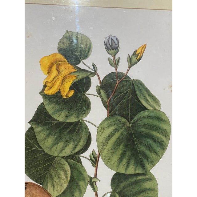 Nature Beveled Mirrored Inset Picture Frames - Set of 2 For Sale - Image 4 of 13