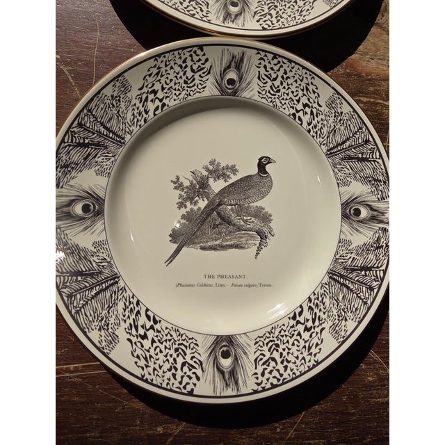 1990s Six Bewick Bird Plates by Prinknash Abbey Pottery For Sale - Image 5 of 12