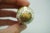 Halcyon Days Enamels England Easter Bunny Rabbit Egg Trinket Pill Box 2" For Sale - Image 11 of 12