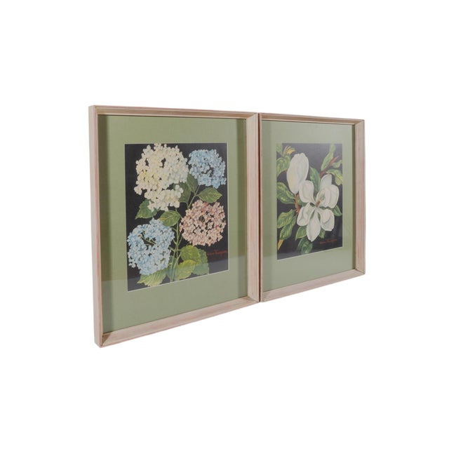 A pair of botanical lithographs signed Helene Thompson. One is of a bouquet of hydrangeas blooming white, blue and pink,...
