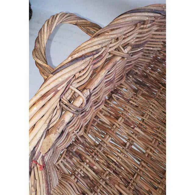 19th Century Large French Bread Basket From a Bakery For Sale - Image 4 of 6