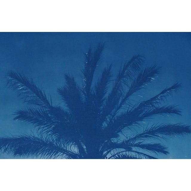 2020 Cairo Citadel Palm, Hand-Painted Cyanotype Print on Watercolor Paper For Sale In Miami - Image 6 of 12