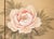 1950s "White Peacock & Peony" by Ryumin, Large Vintage Japanese Painted Silk Byobu Screen For Sale - Image 5 of 18