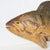 Carved fish, painted with detail. Great addition to a man cave or going for a cabin look.