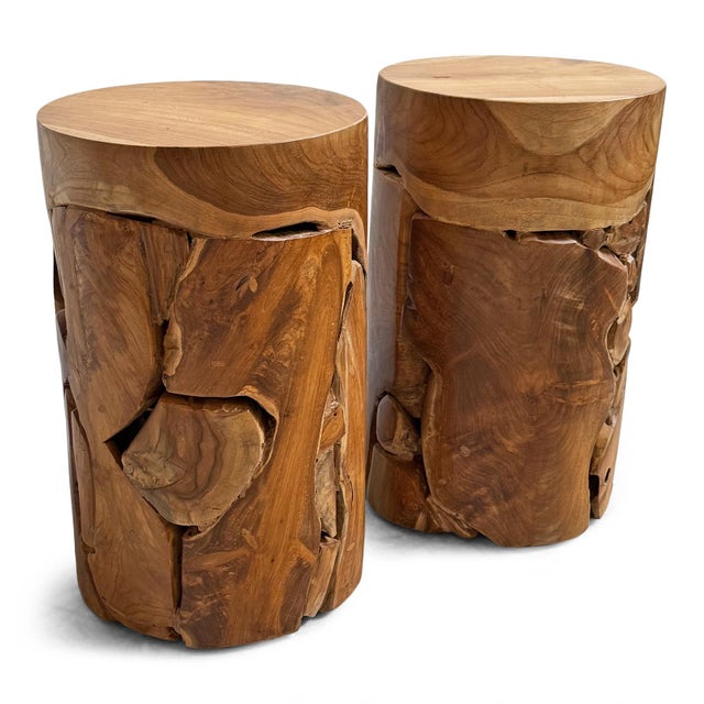 Wood Teak Root Cylinder End Side Table For Sale - Image 7 of 13