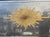 Glass Pair of Jansen Manner Eglomise’ Sunburst Trumeau Mirrors For Sale - Image 7 of 8