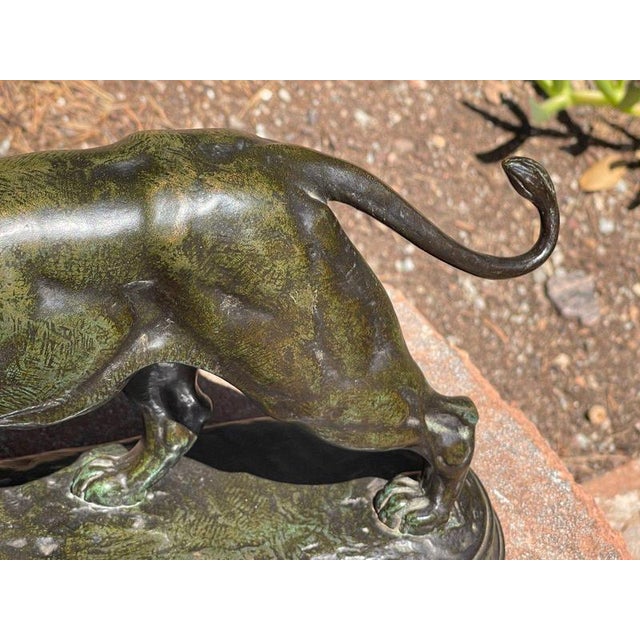 African Lioness Walking in Bronze by E. Delabrierre For Sale - Image 12 of 13