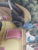 36" * H96" * 13ps, Eearly View of India Panoramic Wallpaper - Set of 13 For Sale - Image 11 of 12