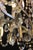 Antique Marie-Antoinette Style Chandelier in Crystal, 1890s For Sale - Image 10 of 15